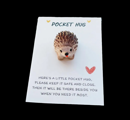 Cute 3d Hedgehog Pocket Hug Card & Charm