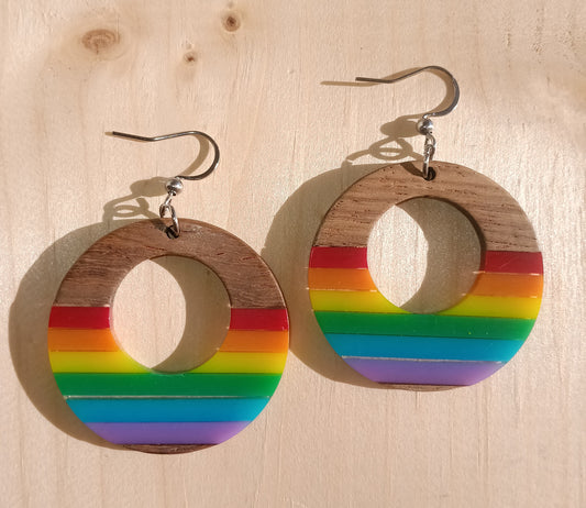 Beautiful Boho Rainbow Circle Wood and Resin Earrings