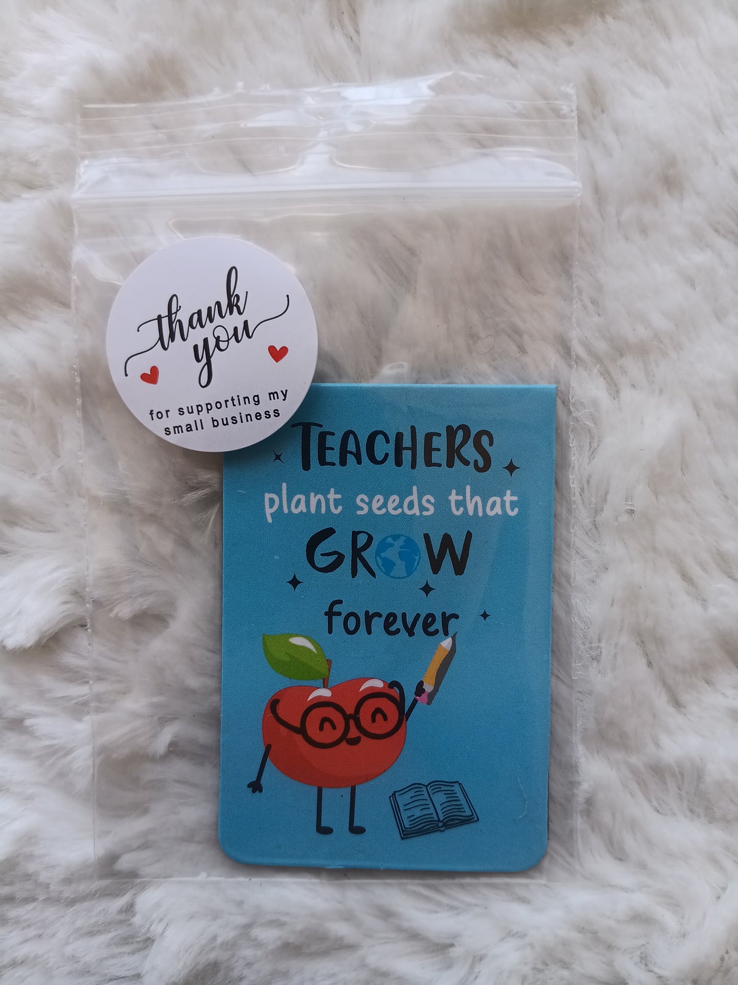 Small Inspirational Teacher Magnetic Bookmarks